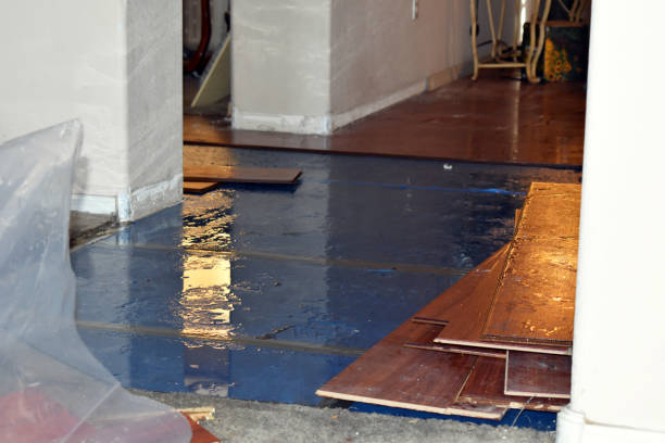 Professional Burst Pipe Cleanup technician working in Alma, MO